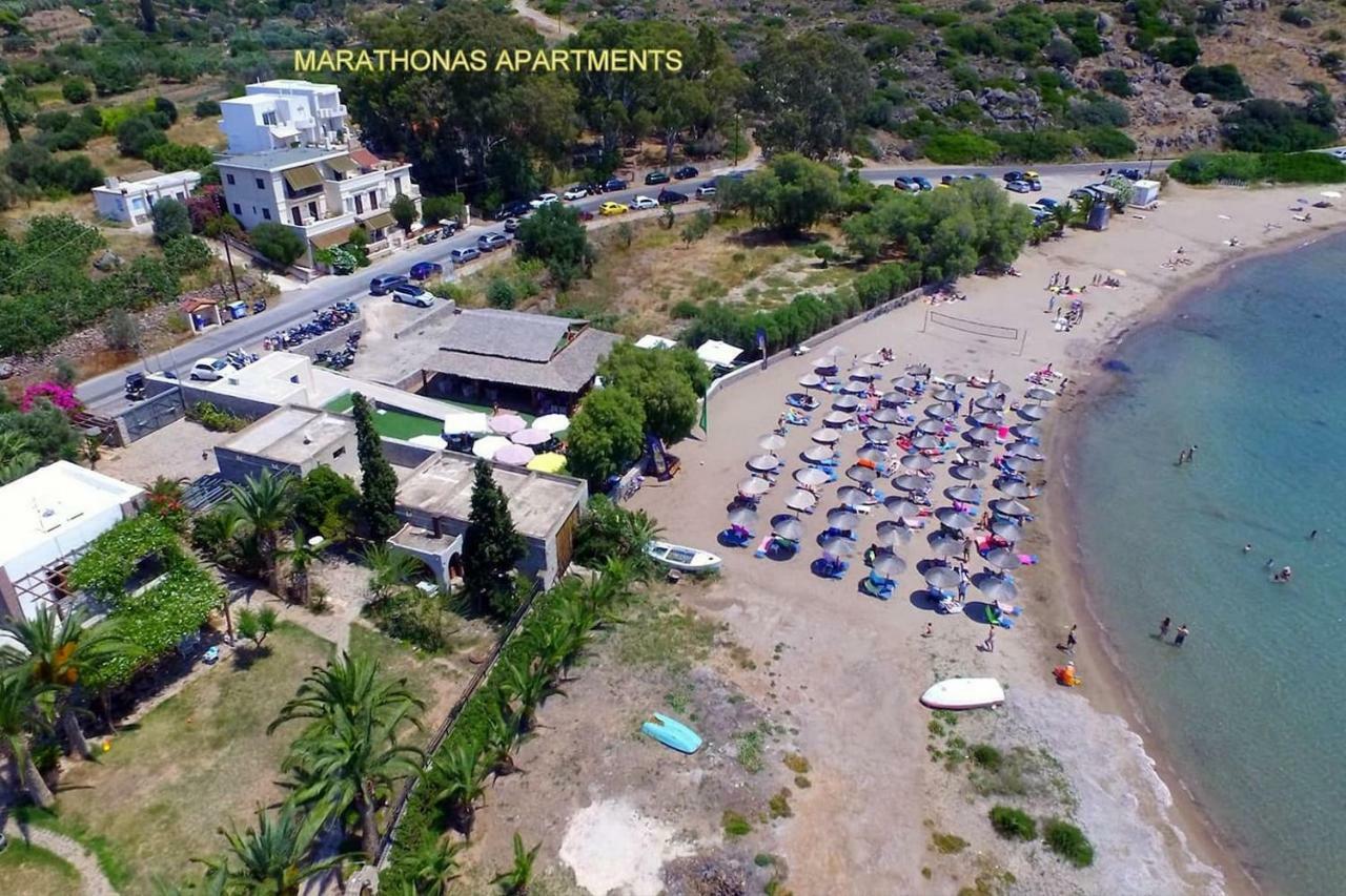 Apartment With Sea View And Balcony 60M From Beach Aegina Exteriér fotografie