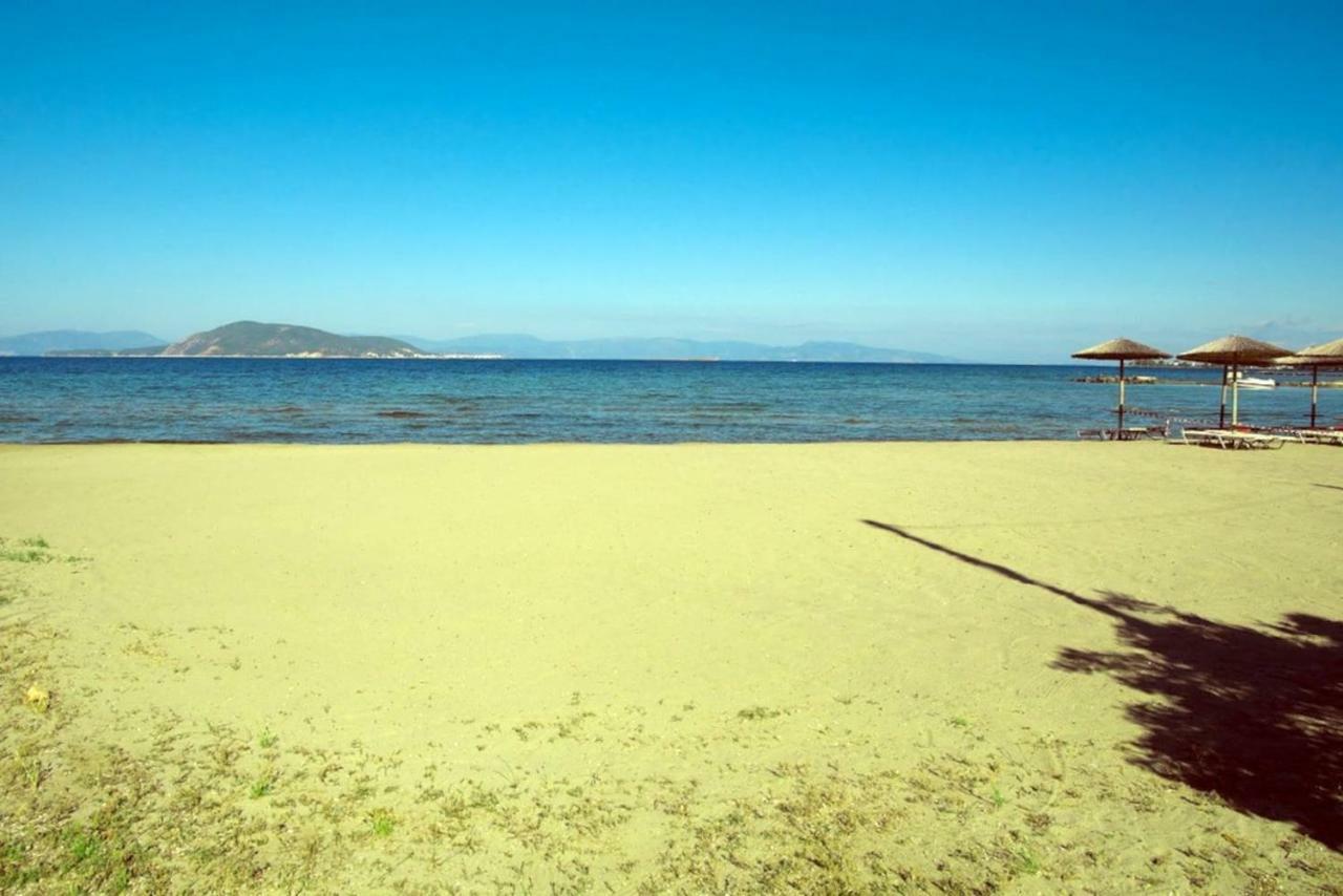 Apartment With Sea View And Balcony 60M From Beach Aegina Exteriér fotografie